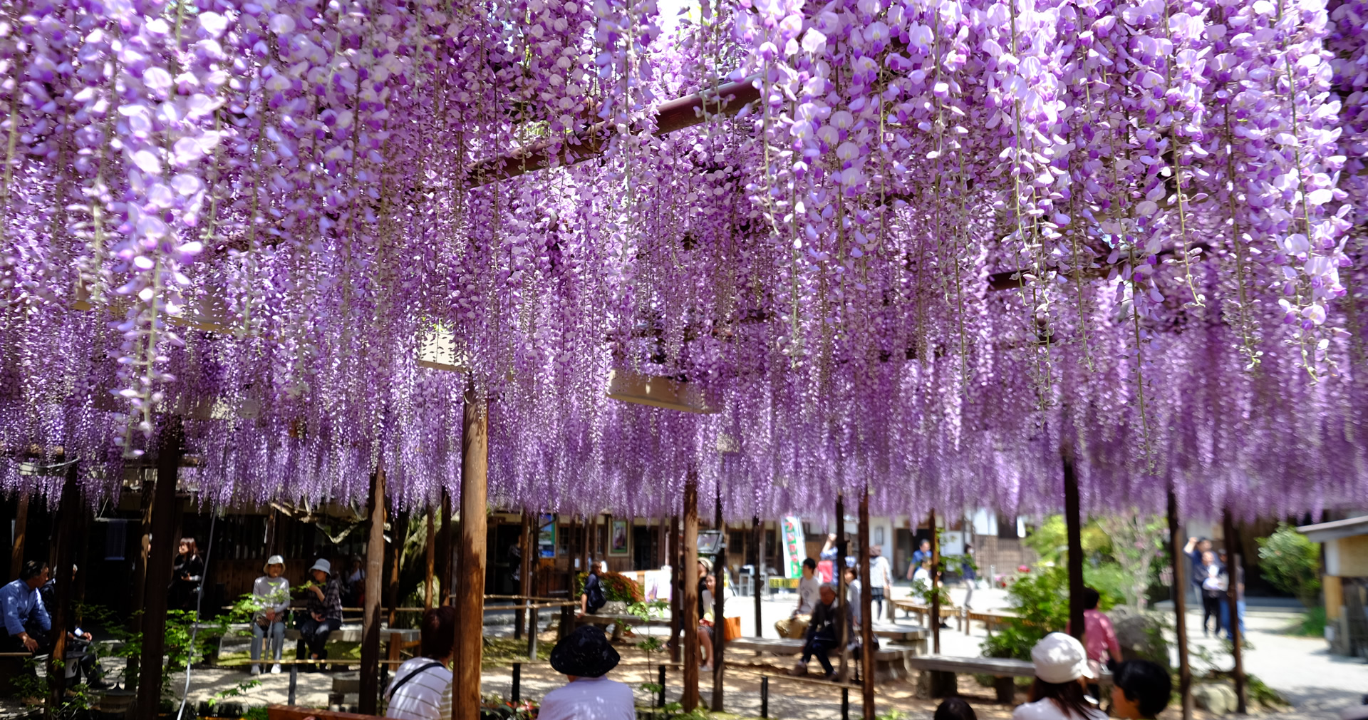 Top 豪農の館 北方文化博物館